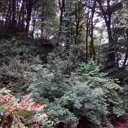 Montero De La Concha