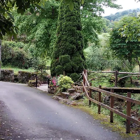 Montero De La Concha 3*