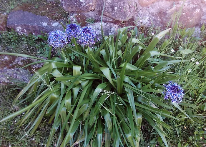 Montero De La Concha Inn Esles