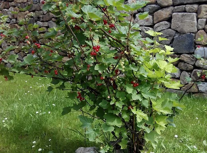 Montero De La Concha Inn 3*