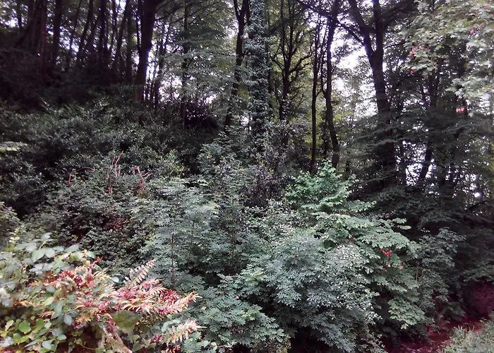 Montero De La Concha