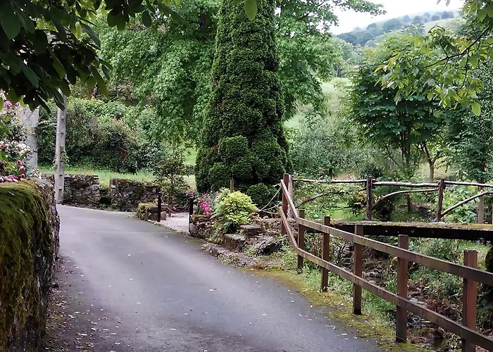 Montero De La Concha 3*