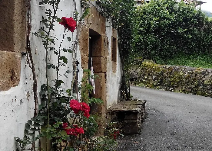 Montero De La Concha 3*